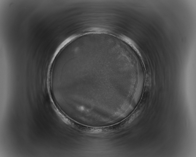 X0000084521098200703021350