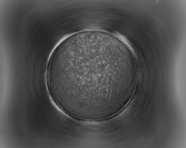 X0000084521100200703021350