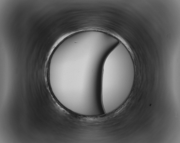 X0000084521102200703021350