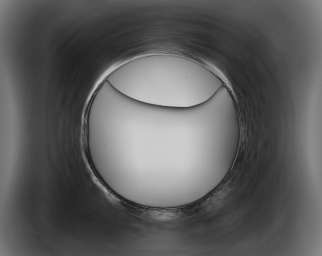 X0000084521103200703021350