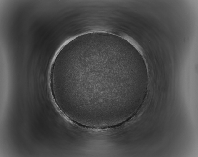 X0000084521104200703021350