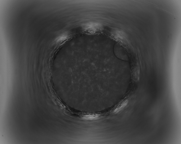 X0000084521105200703021349