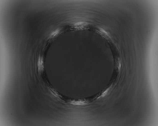 X0000084521106200703021349