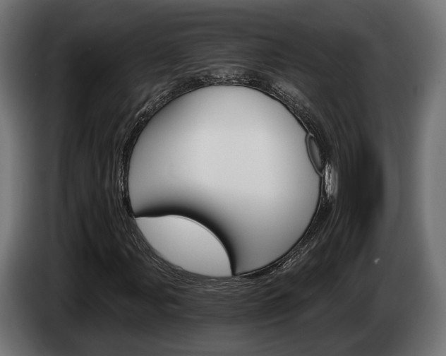 X0000084521107200703021349