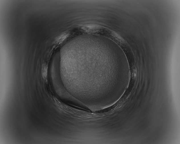 X0000084521108200703021349