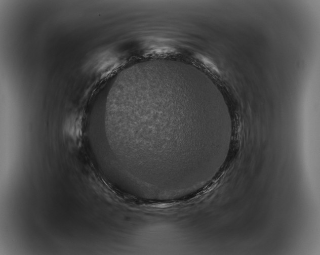 X0000084521109200703021349