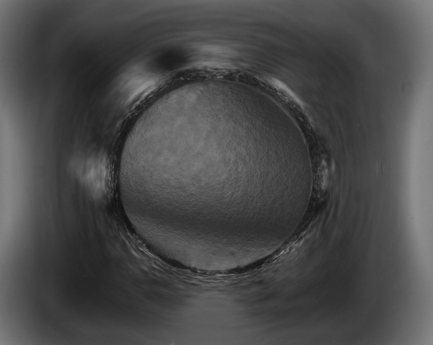 X0000084521110200703021349