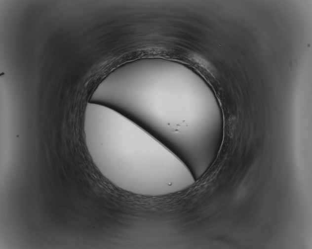 X0000084521111200703021349