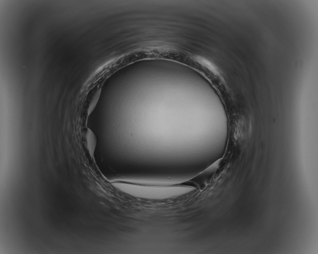 X0000084521112200703021349