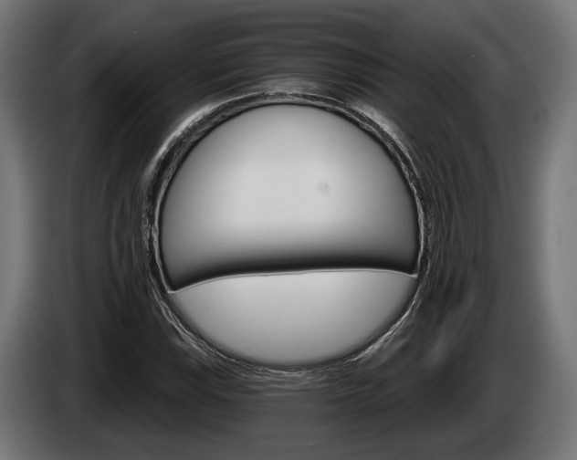 X0000084521115200703021349