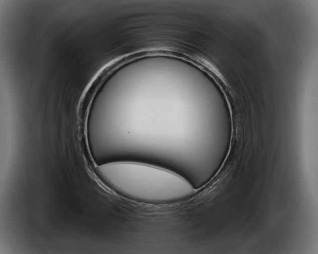 X0000084521116200703021349