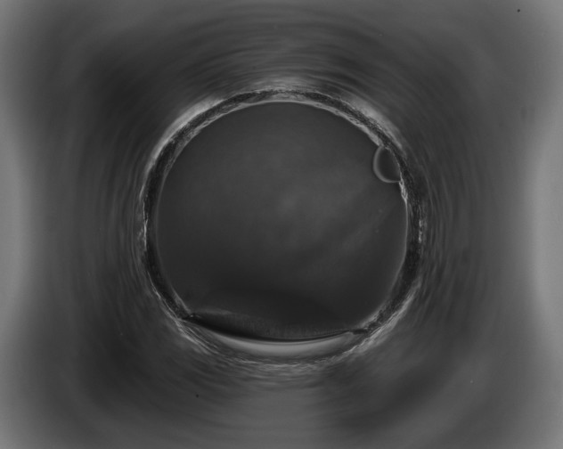 X0000084521117200703021349