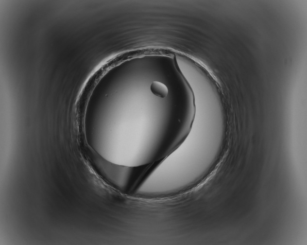 X0000084521118200703021349