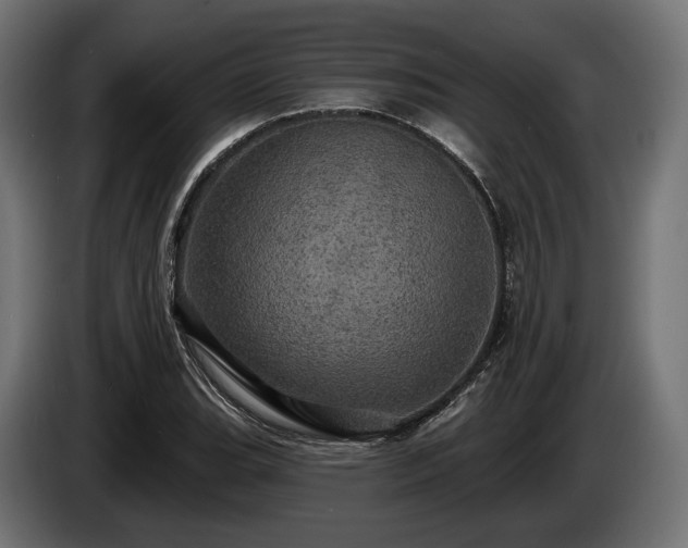 X0000084521119200703021349