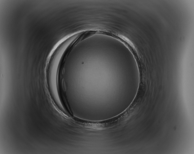 X0000084521120200703021349