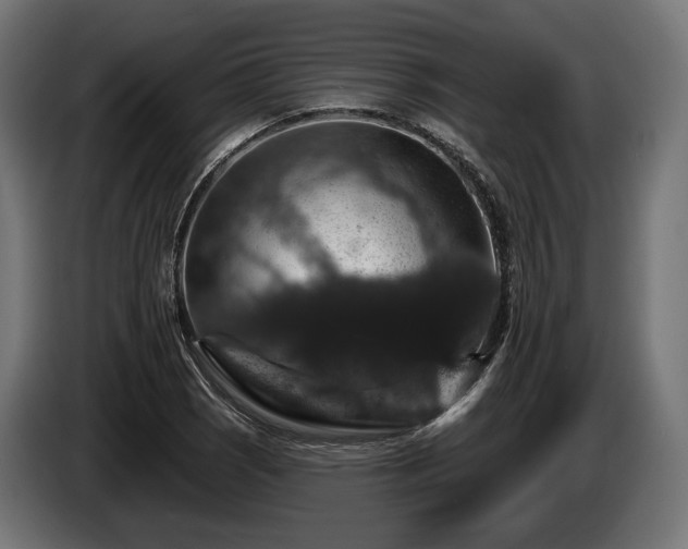 X0000084521121200703021349