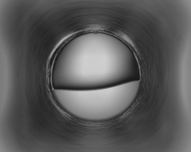 X0000084521124200703021349