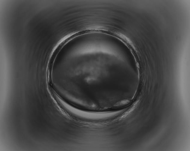 X0000084521125200703021349