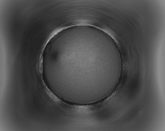 X0000084521126200703021349