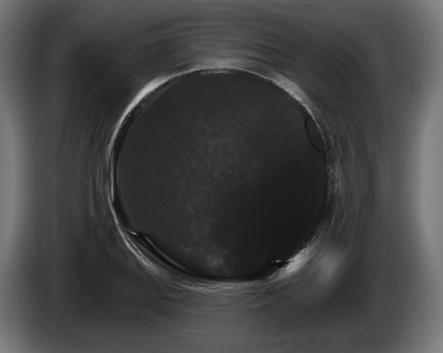 X0000084521127200703021349