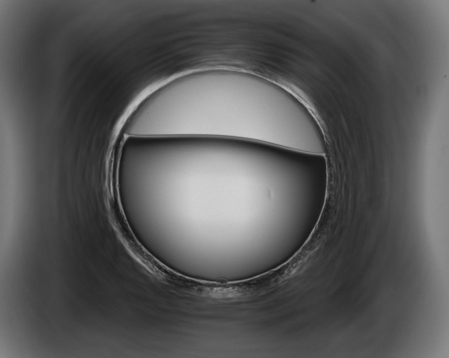 X0000084521128200703021349