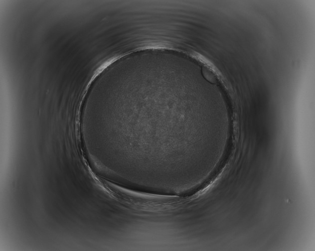 X0000084521129200703021350