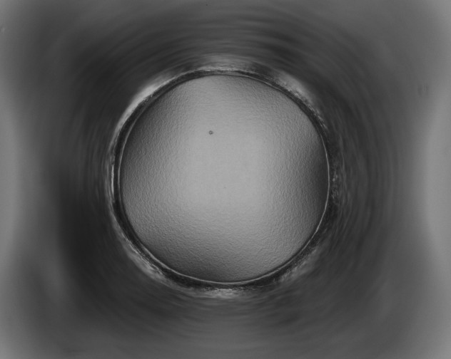 X0000084521130200703021350