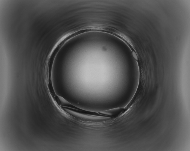 X0000084521131200703021350