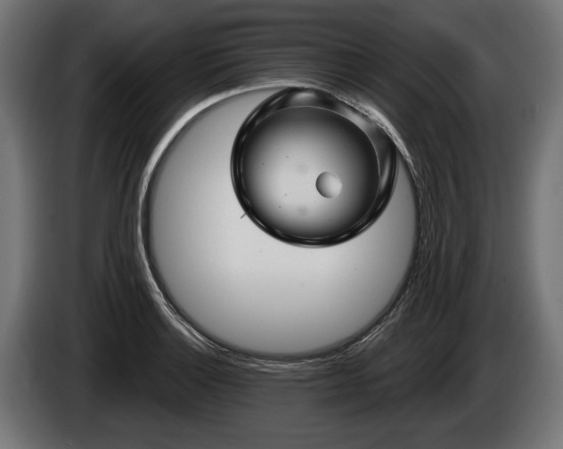 X0000084521132200703021350