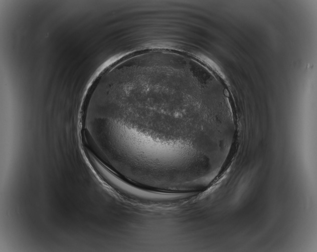 X0000084521133200703021350