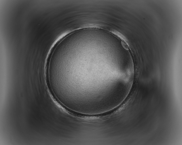 X0000084521135200703021350