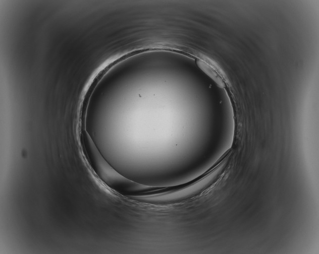 X0000084521136200703021350