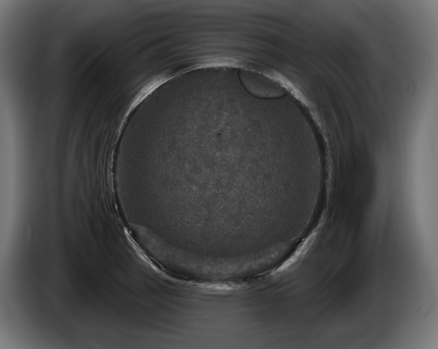 X0000084521137200703021350