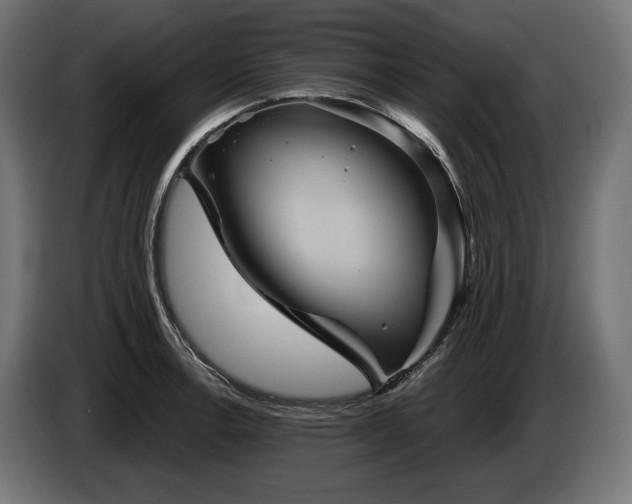 X0000084521138200703021350