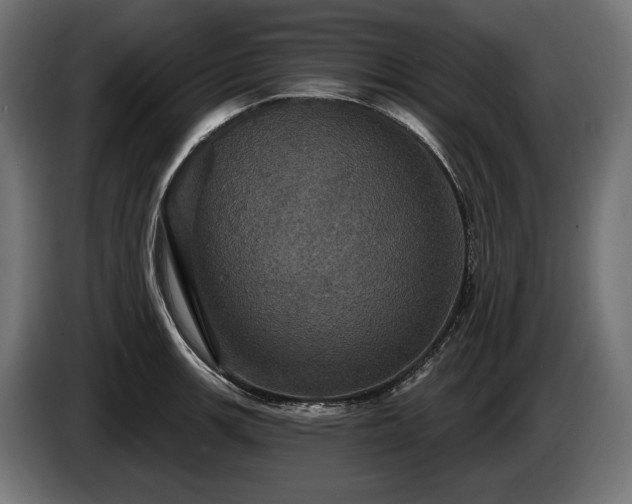 X0000084521139200703021350