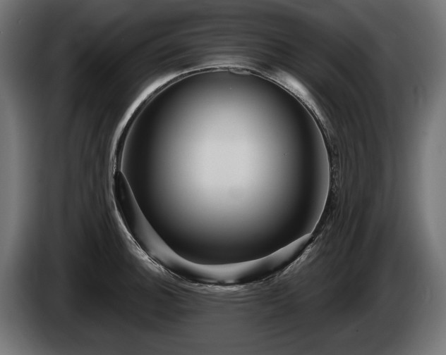 X0000084521140200703021350