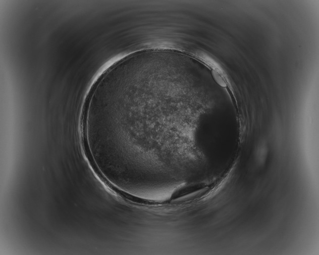 X0000084521141200703021350