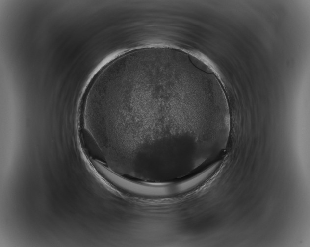 X0000084521142200703021350