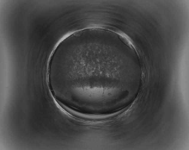 X0000084521143200703021350
