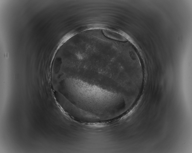 X0000084521145200703021350