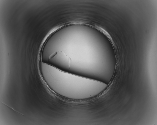 X0000084521146200703021350