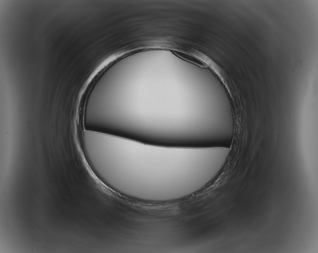 X0000084521147200703021350