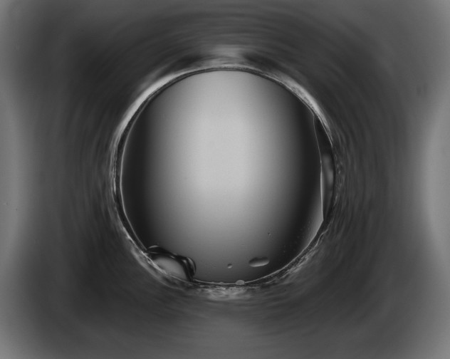 X0000084521148200703021350