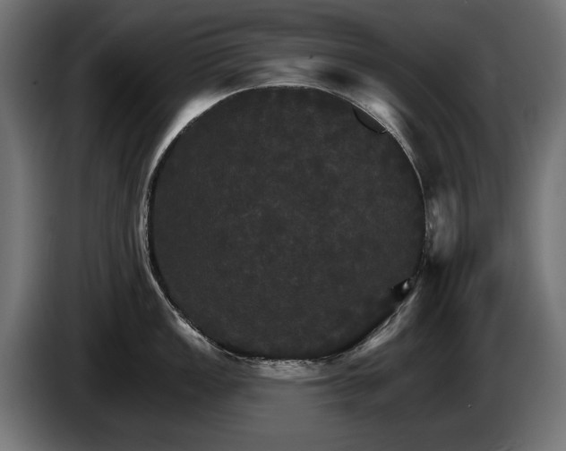 X0000084521149200703021350