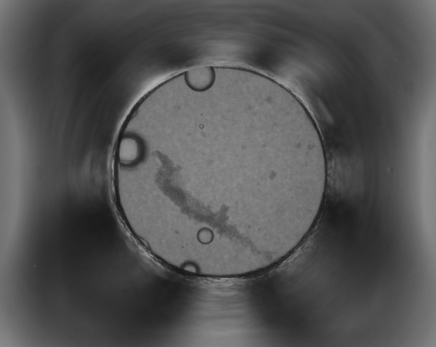 X0000084521150200703021350