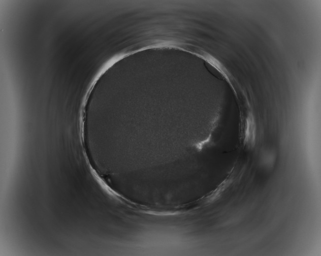 X0000084521151200703021350