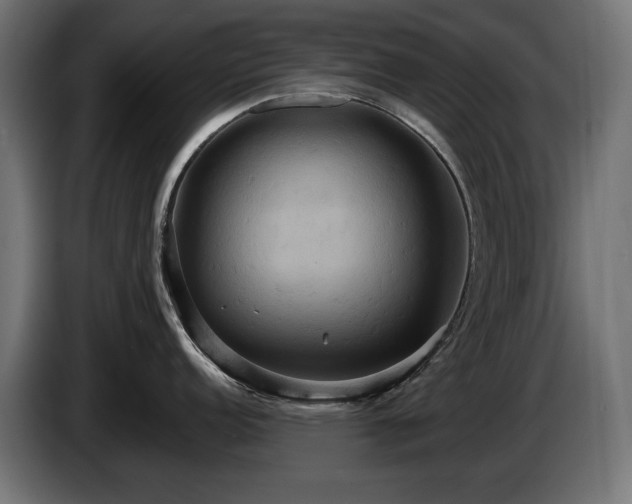 X0000084521152200703021350