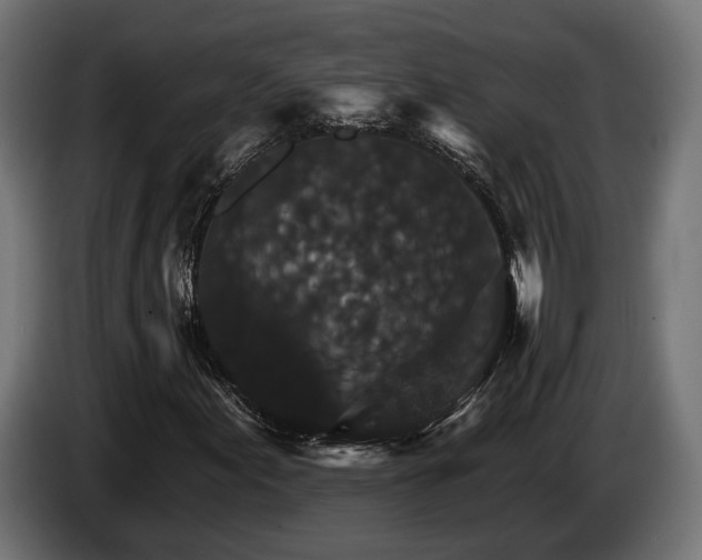 X0000084521155200703021349