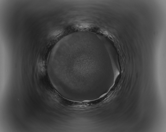 X0000084521156200703021349