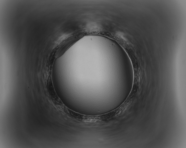 X0000084521157200703021349